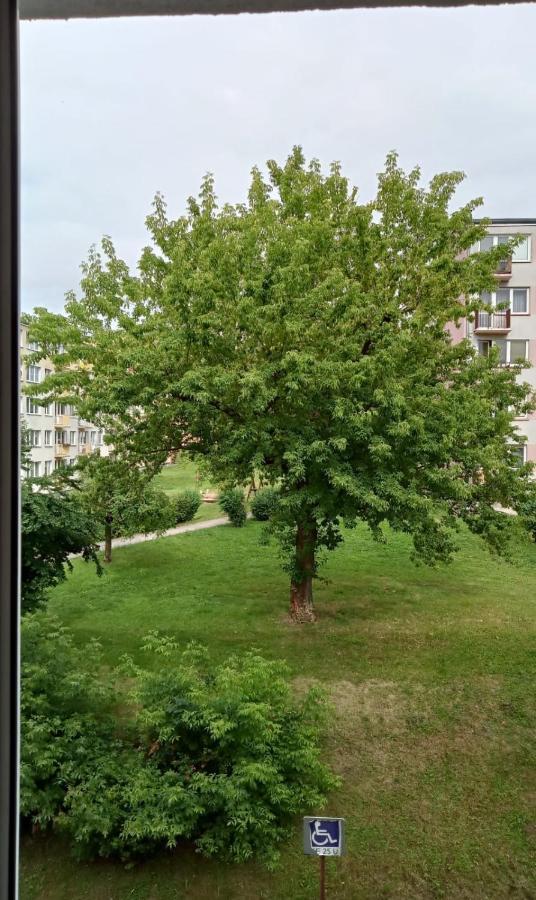 Apartament Mazury Kętrzyn Exteriör bild