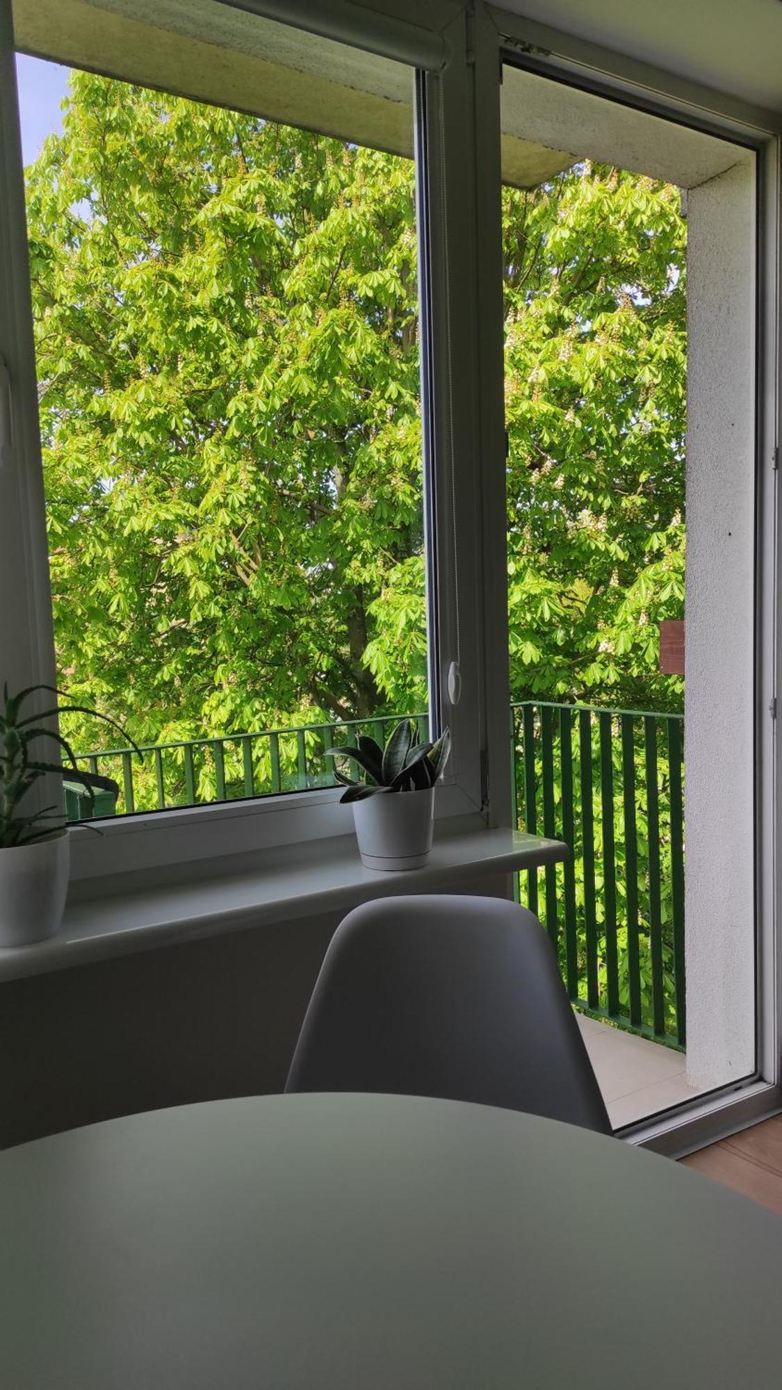 Apartament Mazury Kętrzyn Exteriör bild